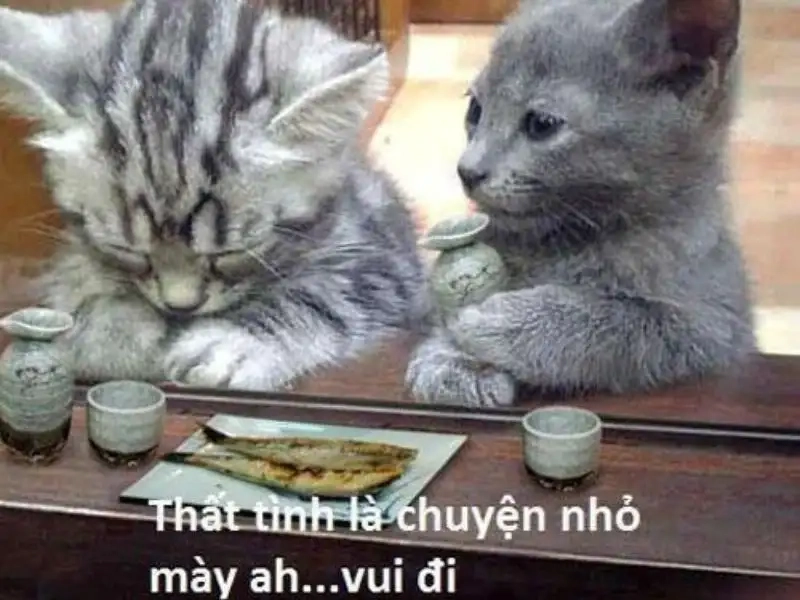 Meme ôm an ủi mang niềm vui đến bạn