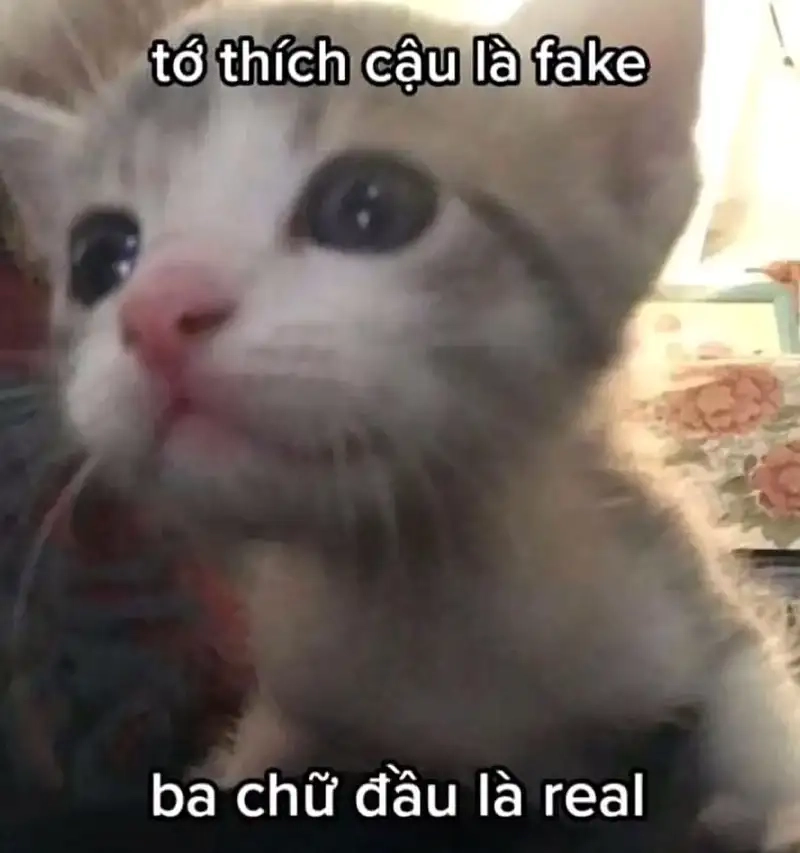 Khám phá bộ sưu tập meme thính siêu bá đạo