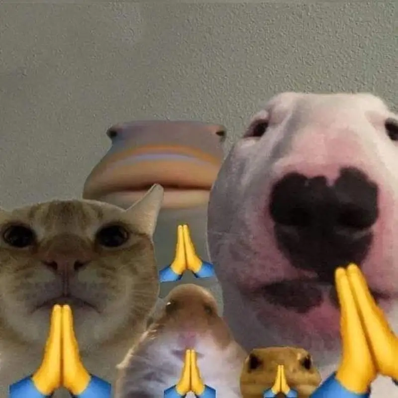 Meme tịnh tâm ảnh chế mang lại phút giây thư giãn