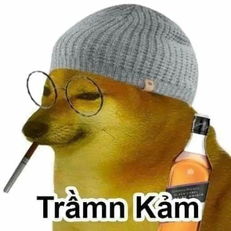 Kho hình ảnh trầm kảm meme được chia sẻ nhiều