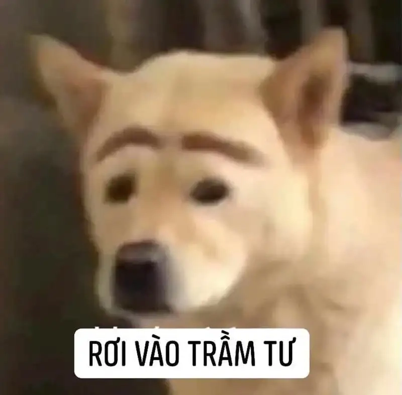 Sưu tầm ngay những mẫu meme trầm tư độc lạ
