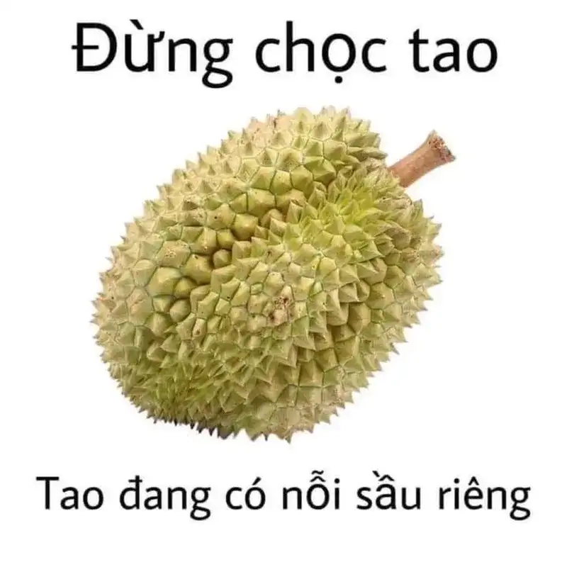 Xem ngay bộ meme tức giận khiến bạn phì cười