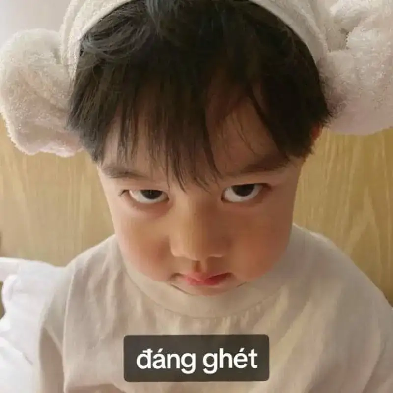 Khám phá meme cay cú gây bão cộng đồng mạng