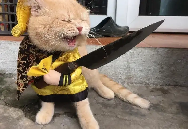 Khám phá meme ghim độc đáo và vui nhộn online