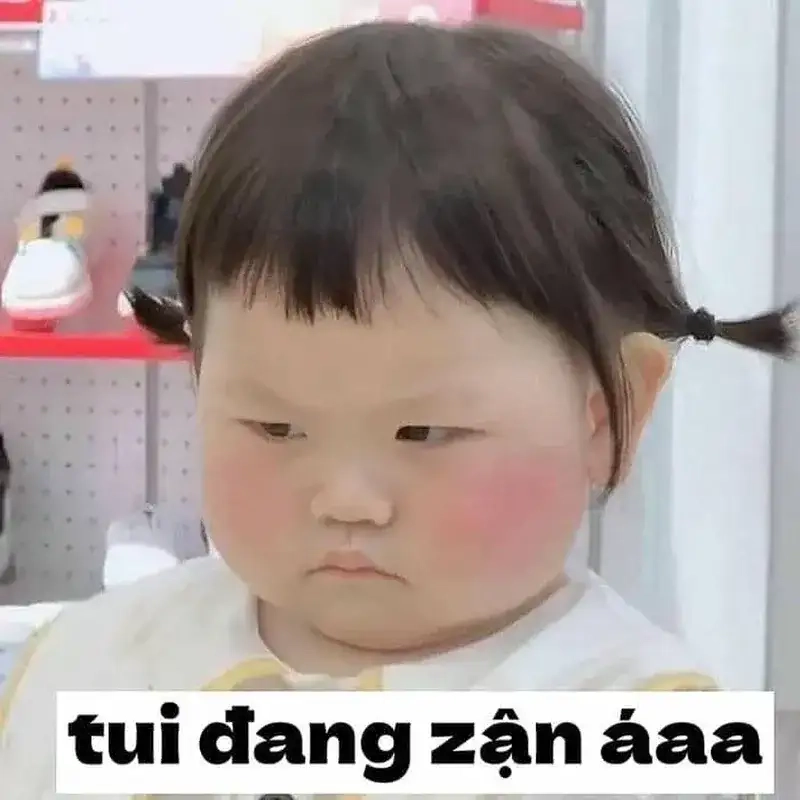 Thưởng thức meme tức điên vui nhộn cực chất