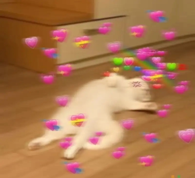 Meme xỉu là như thế nào cực hài hước