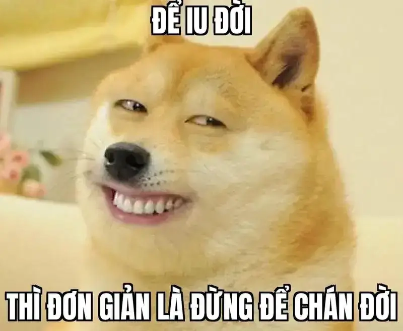 Meme yêu đời tích cực là như thế nào