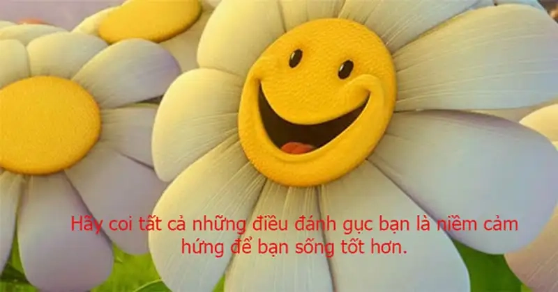 Meme yêu đời tích cực mang niềm vui mỗi sáng