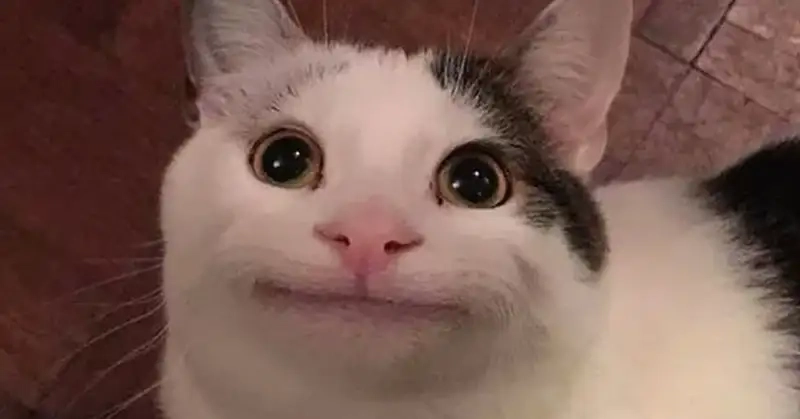 Meme yêu đời tích cực nhắc bạn trân trọng bản thân