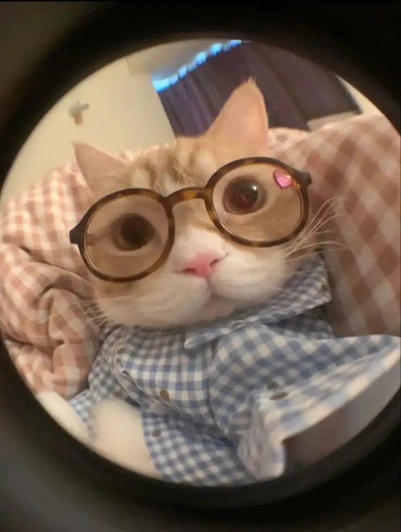 Meme yêu đời tích cực khiến mọi người thả tim liền