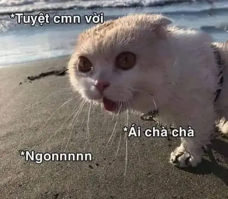 Meme yêu đời tích cực tạo cảm giác dễ thương vui nhộn