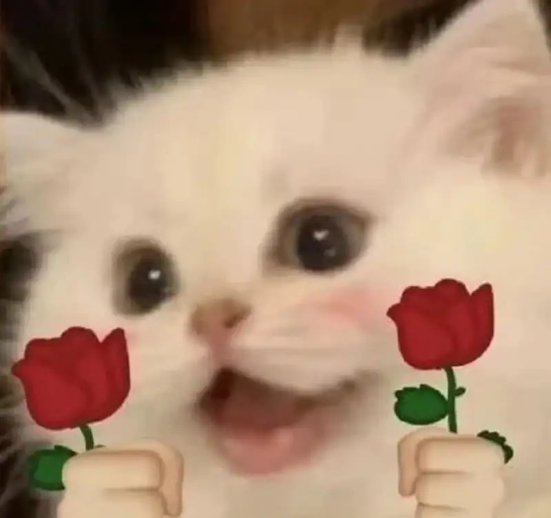 Meme yêu đời tích cực giúp bạn yêu bản thân hơn