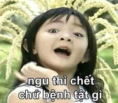 Chó mặt ngu meme gây bão cùng loạt ảnh ngu meme