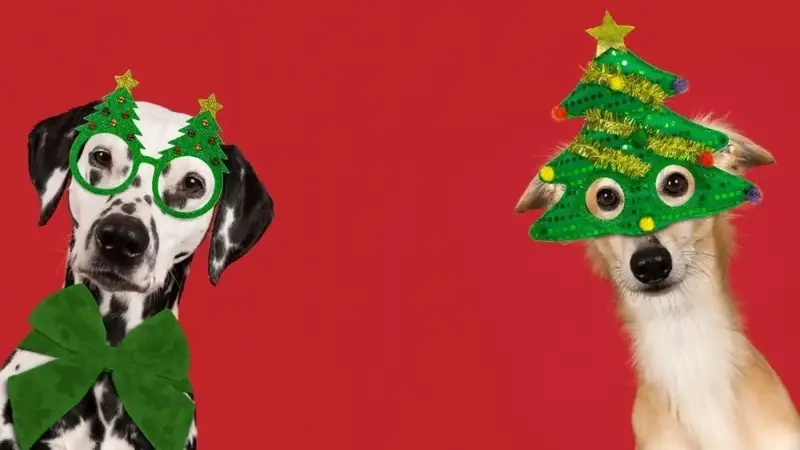 Cập nhật xu hướng avatar noel hot nhất 2025