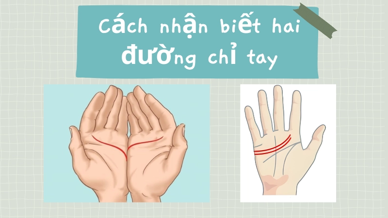 Cách nhận biết hai đường chỉ tay liền nhau