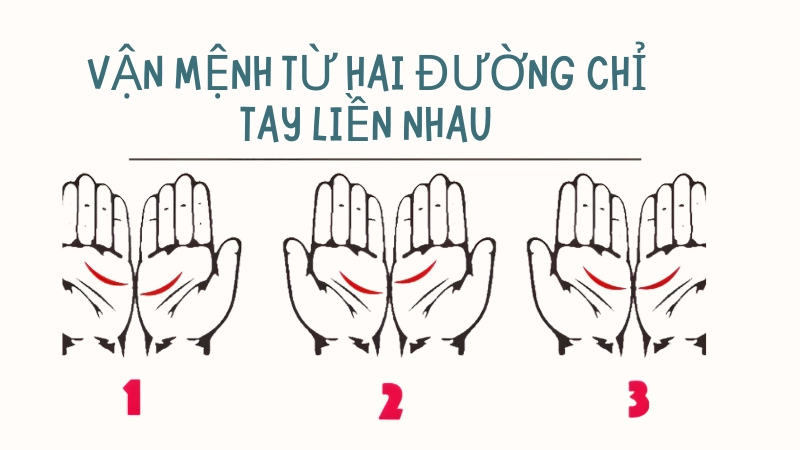 Dự báo vận mệnh tương lai qua tướng tay đặc biệt