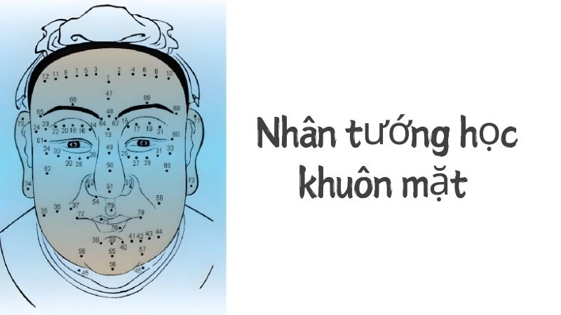 Tiết lộ nhân tướng học khuôn mặt 