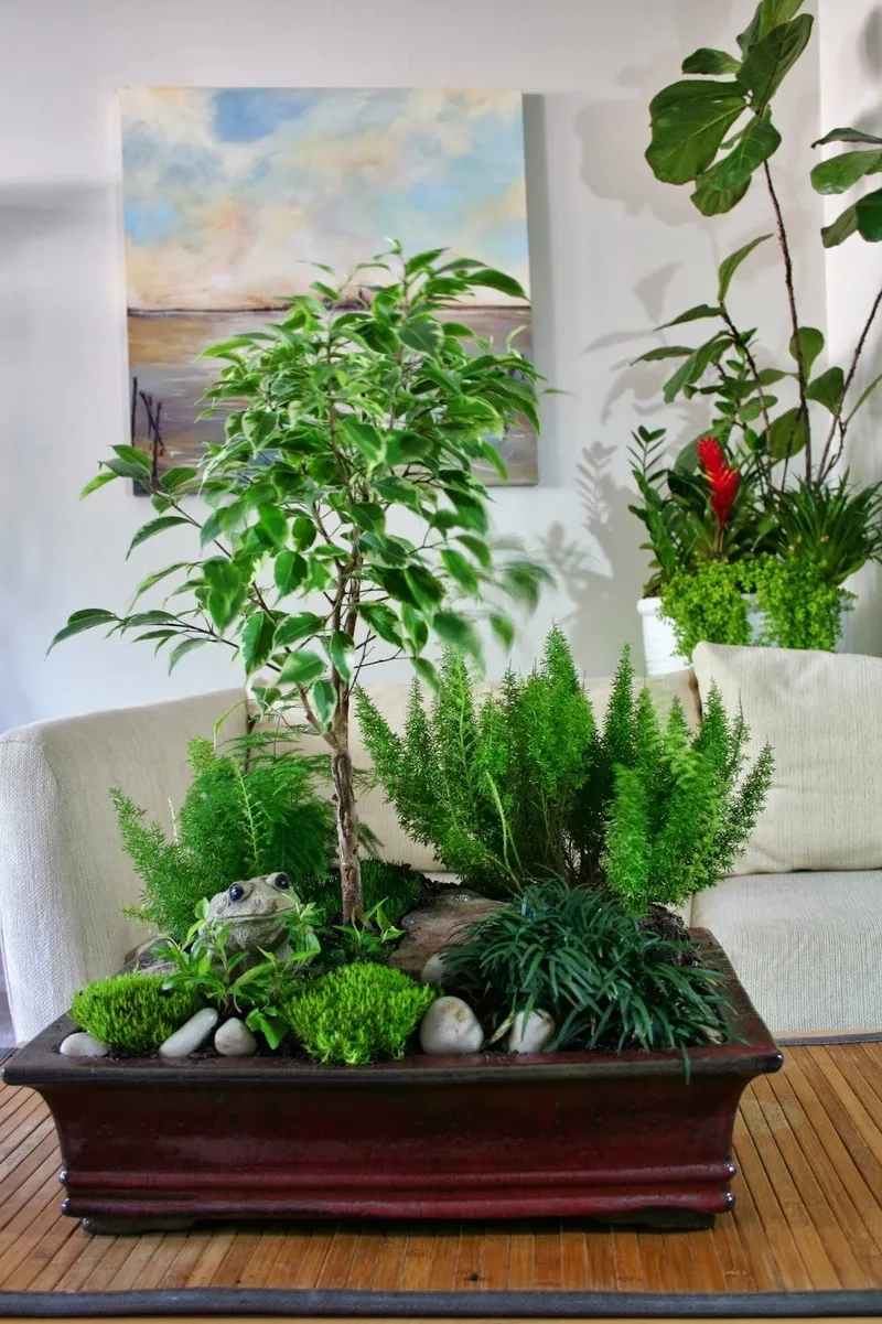 Các loại cây phong thủy cho bàn làm