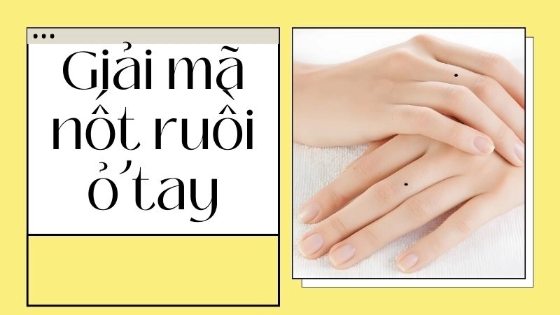 Nốt ruồi ở lòng bàn tay - Bản đồ tài chính nội tại