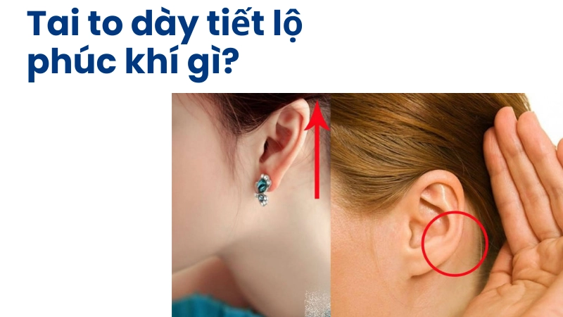 Tai to dày nói lên điều gì về phúc khí?