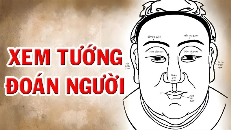 Bí quyết xem tướng chuẩn xác từ các bậc thầy